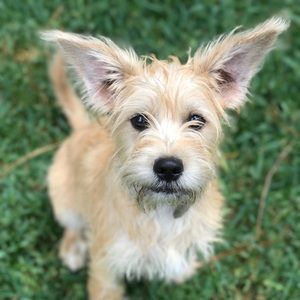 Meet your Posher, Lynn